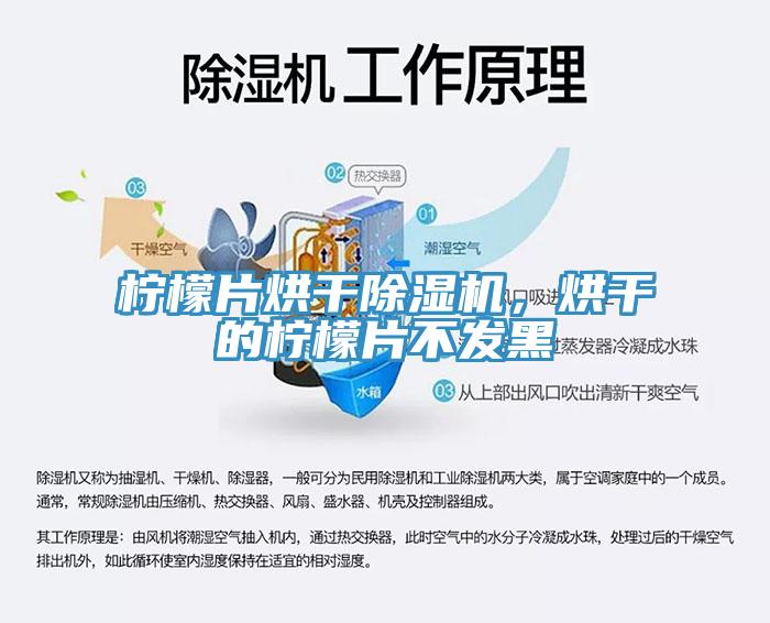 檸檬片烘幹草莓小视频黄色，烘幹的檸檬片不發黑
