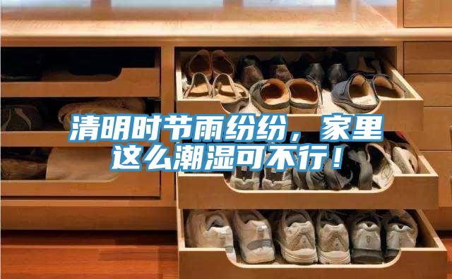 清明時節雨紛紛，家裏這麽潮濕可不行！