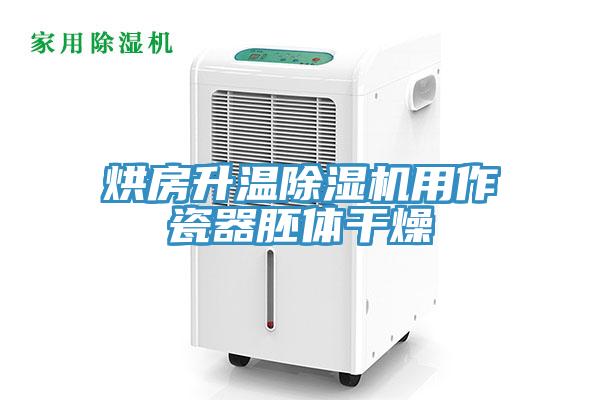 烘房升溫草莓小视频黄色用作瓷器胚體幹燥