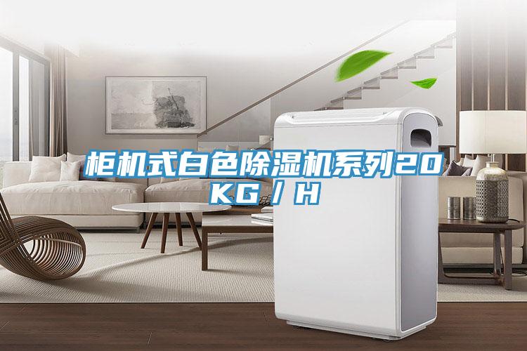 櫃機式白色草莓小视频黄色係列20KG／H
