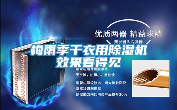 梅雨季幹衣用草莓小视频黄色效果看得見