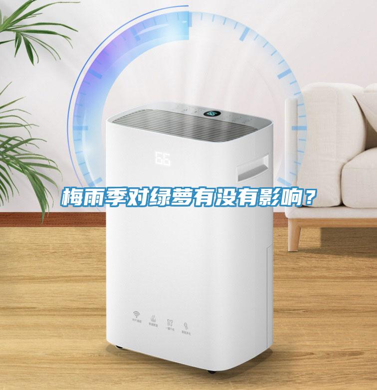 梅雨季對綠蘿有沒有影響？