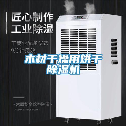 木材幹燥用烘幹草莓小视频黄色