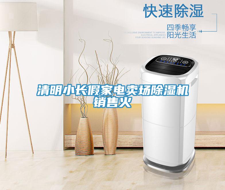 清明小長假家電賣場草莓小视频黄色銷售火