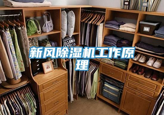 新風草莓小视频黄色工作原理