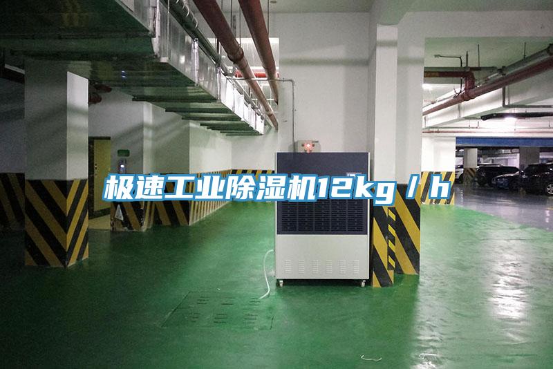 極速工業草莓小视频黄色12kg／h