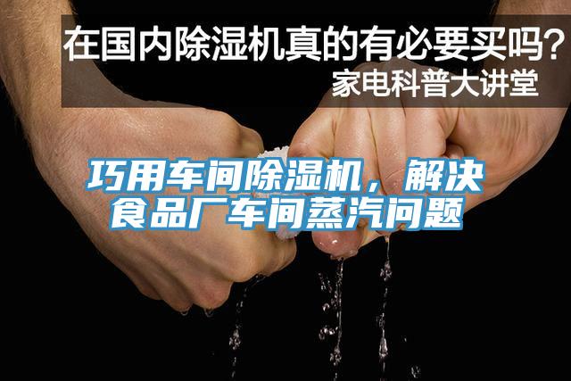 巧用車間草莓小视频黄色，解決食品廠車間蒸汽問題