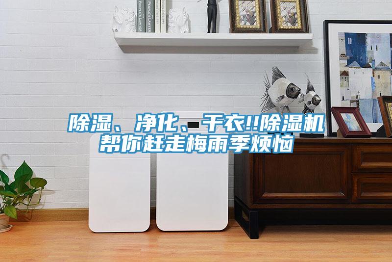 除濕、淨化、幹衣!!草莓小视频黄色幫你趕走梅雨季煩惱