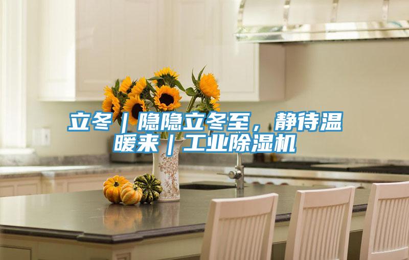 立冬｜隱隱立冬至，靜待溫暖來｜工業草莓小视频黄色