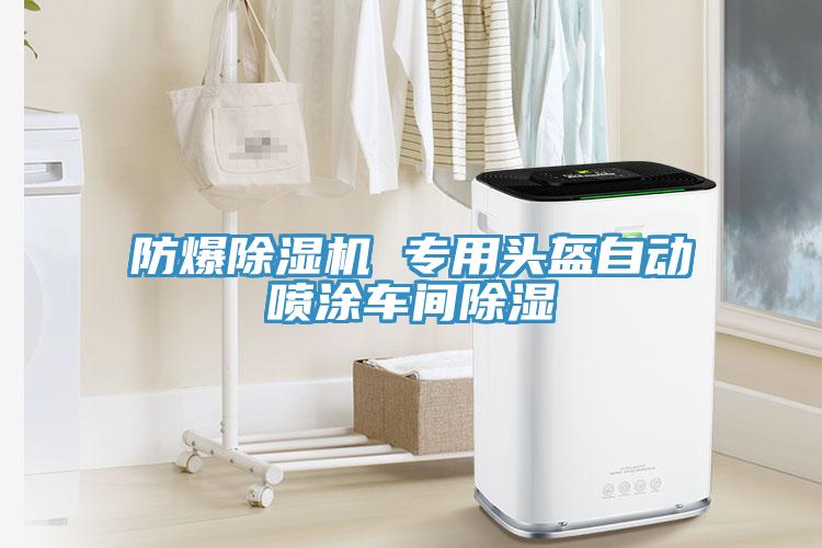 防爆草莓小视频黄色 專用頭盔自動噴塗車間除濕