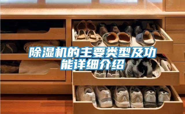 草莓小视频黄色的主要類型及功能詳細介紹