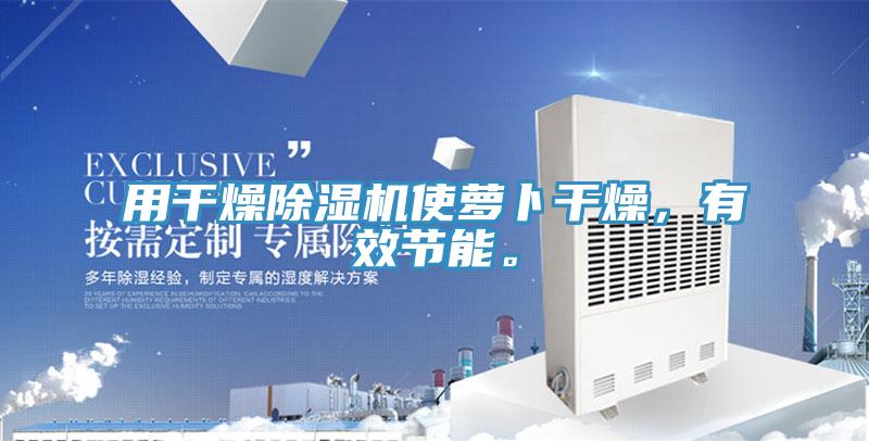 用幹燥草莓小视频黄色使蘿卜幹燥，有效節能。