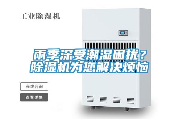 雨季深受潮濕困擾？草莓小视频黄色為您解決煩惱