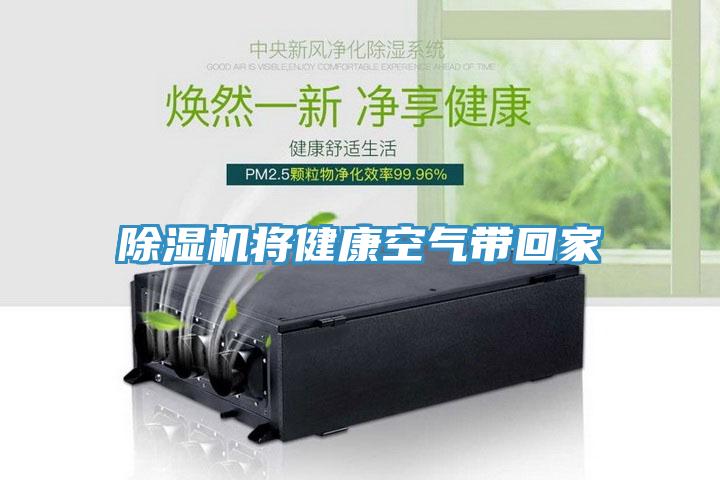 草莓小视频黄色將健康空氣帶回家