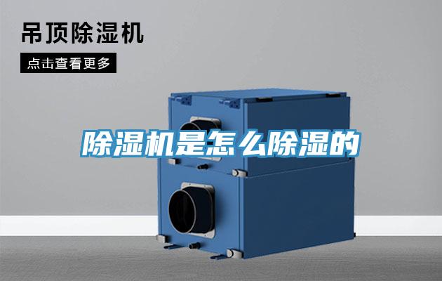 草莓小视频黄色是怎麽除濕的