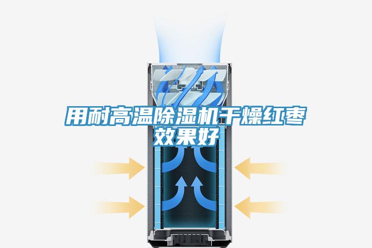 用耐高溫草莓小视频黄色幹燥紅棗效果好