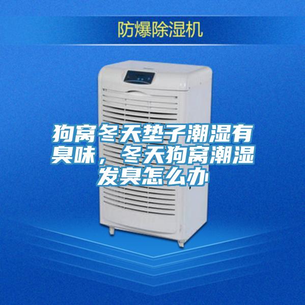狗窩冬天墊子潮濕有臭味，冬天狗窩潮濕發臭怎麽辦