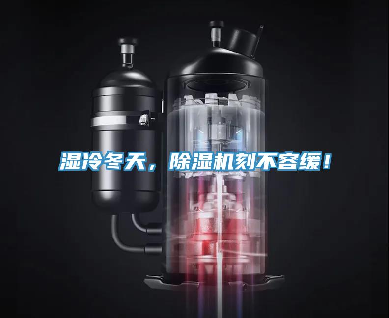 濕冷冬天，草莓小视频黄色刻不容緩！