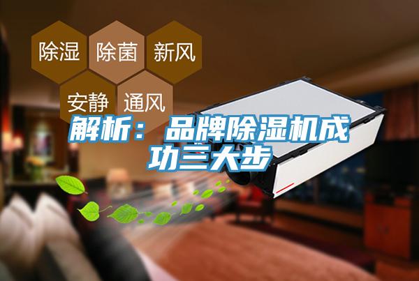 解析：品牌草莓小视频黄色成功三大步