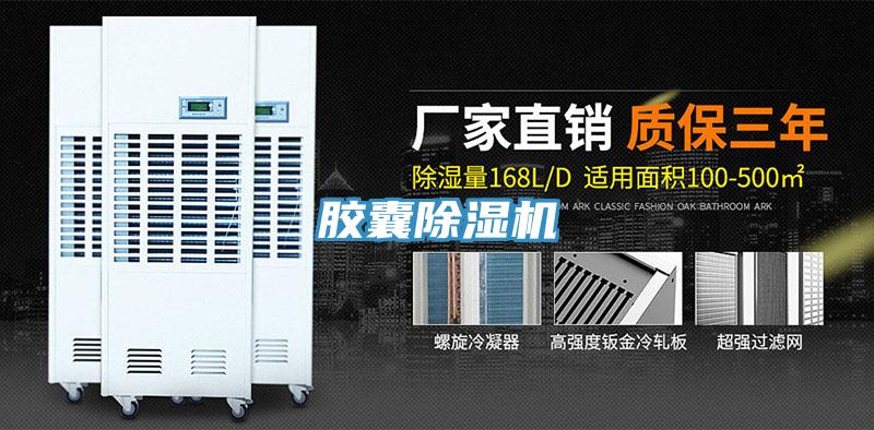膠囊草莓小视频黄色