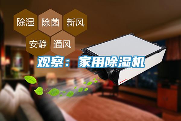 觀察：家用草莓小视频黄色