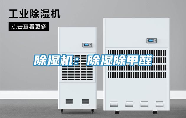 草莓小视频黄色：除濕除甲醛