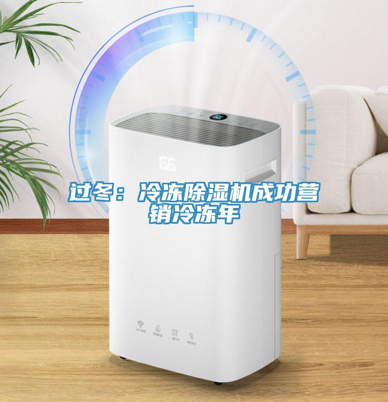 過冬：冷凍草莓小视频黄色成功營銷冷凍年