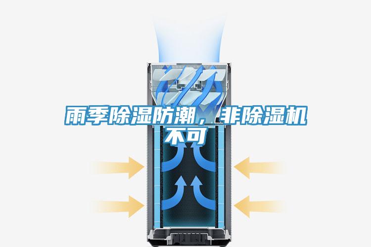 雨季除濕防潮，非草莓小视频黄色不可