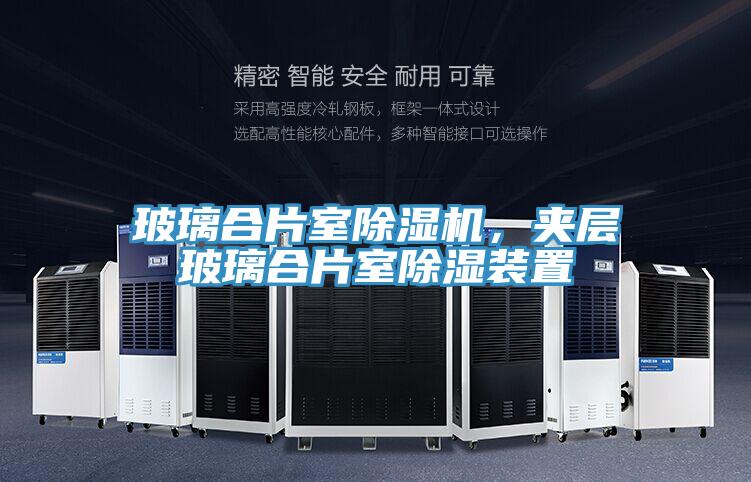 玻璃合片室草莓小视频黄色，夾層玻璃合片室除濕裝置