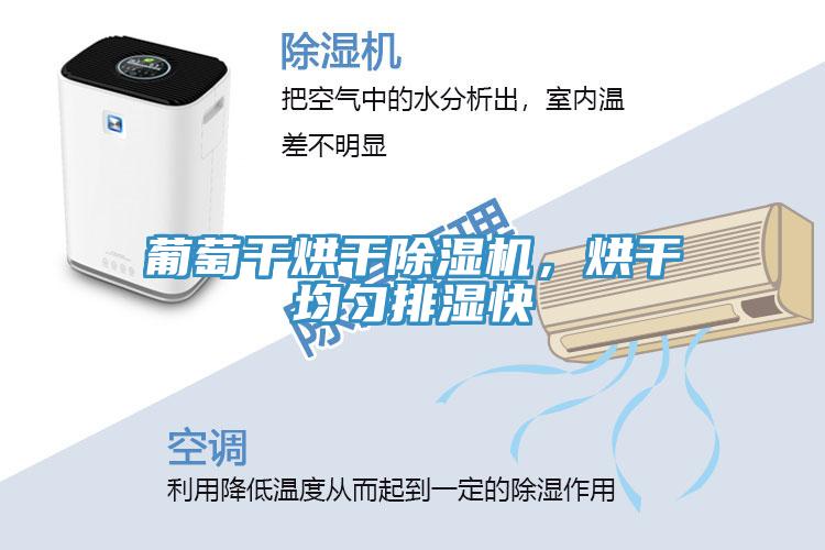 葡萄幹烘幹草莓小视频黄色，烘幹均勻排濕快