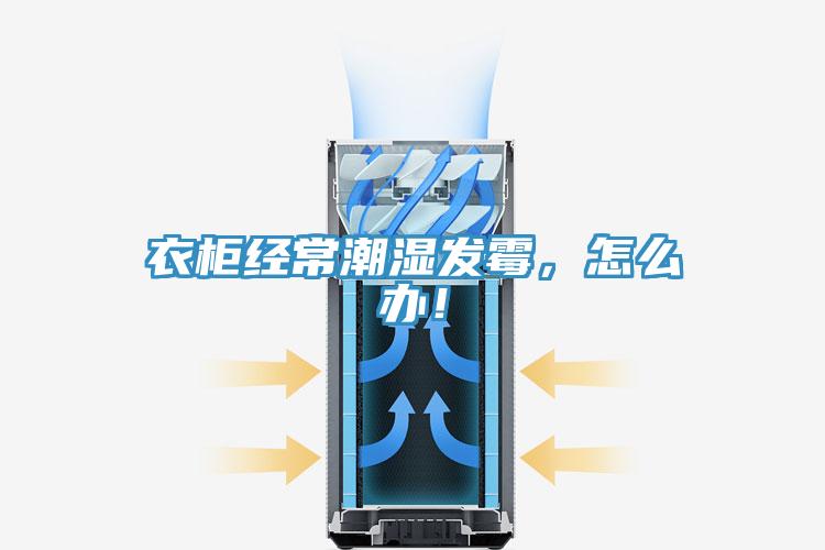 衣櫃經常潮濕發黴，怎麽辦！