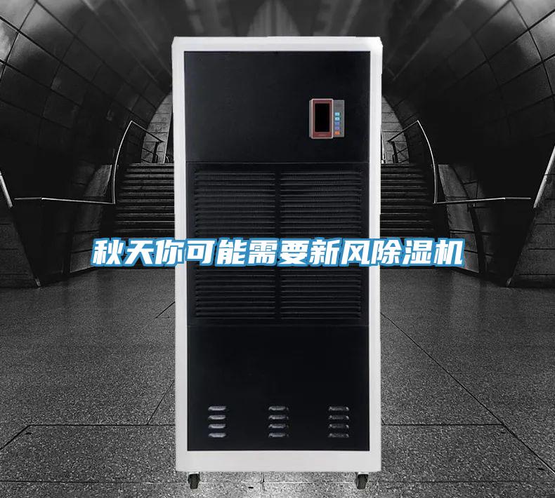 秋天你可能需要新風草莓小视频黄色