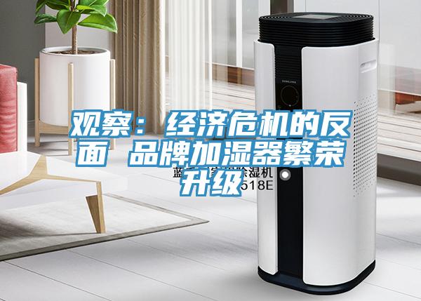 觀察：經濟危機的反麵 品牌加濕器繁榮升級