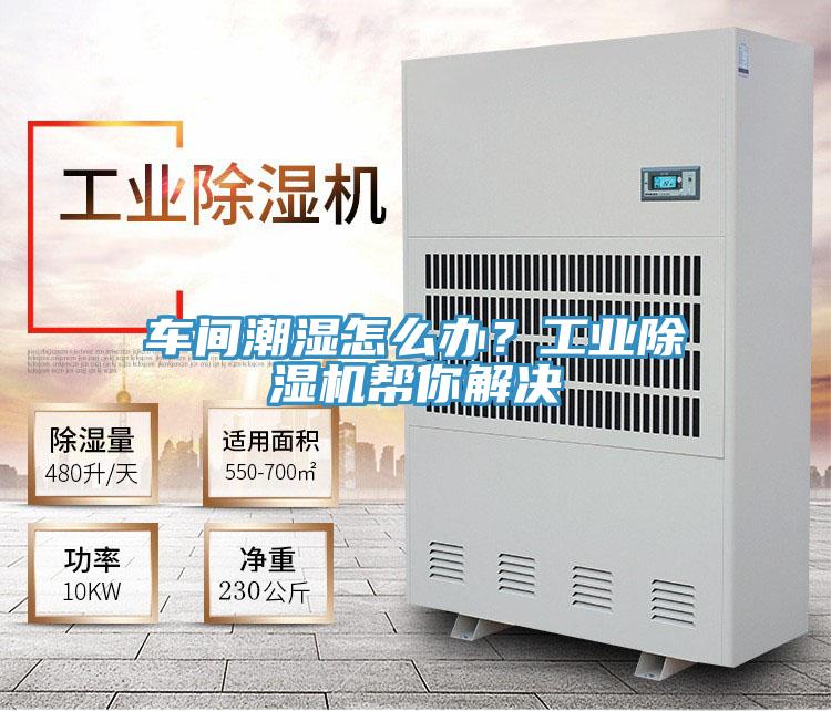 車間潮濕怎麽辦？工業草莓小视频黄色幫你解決