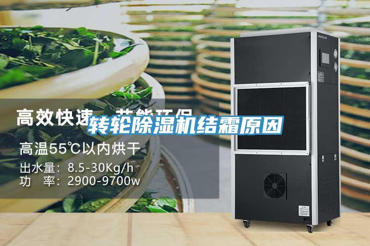 轉輪草莓小视频黄色結霜原因