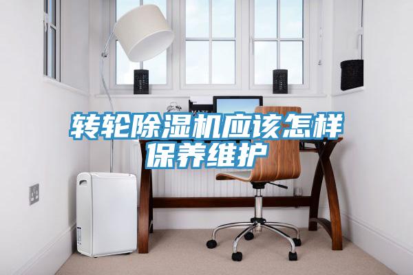 轉輪草莓小视频黄色應該怎樣保養維護