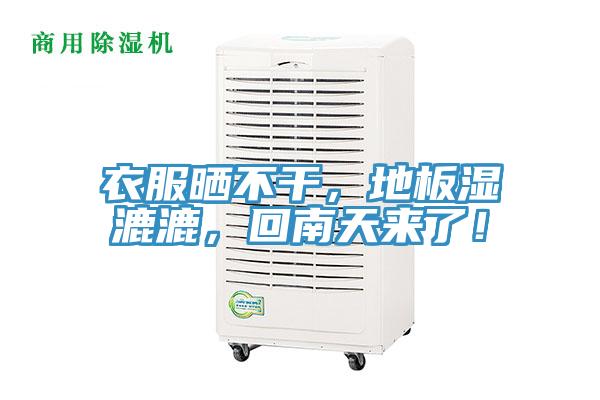 衣服曬不幹，地板濕漉漉，回南天來了！