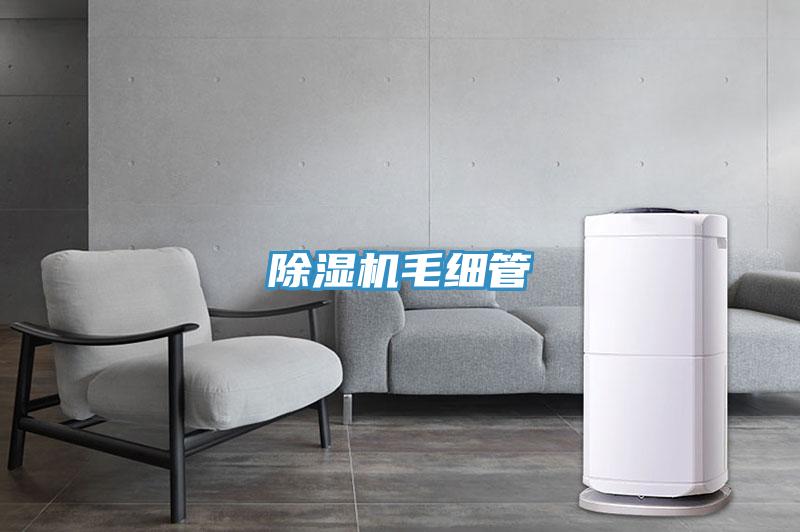 草莓小视频黄色毛細管