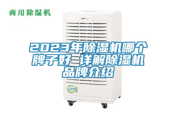 2023年草莓小视频黄色哪個牌子好 詳解草莓小视频黄色品牌介紹