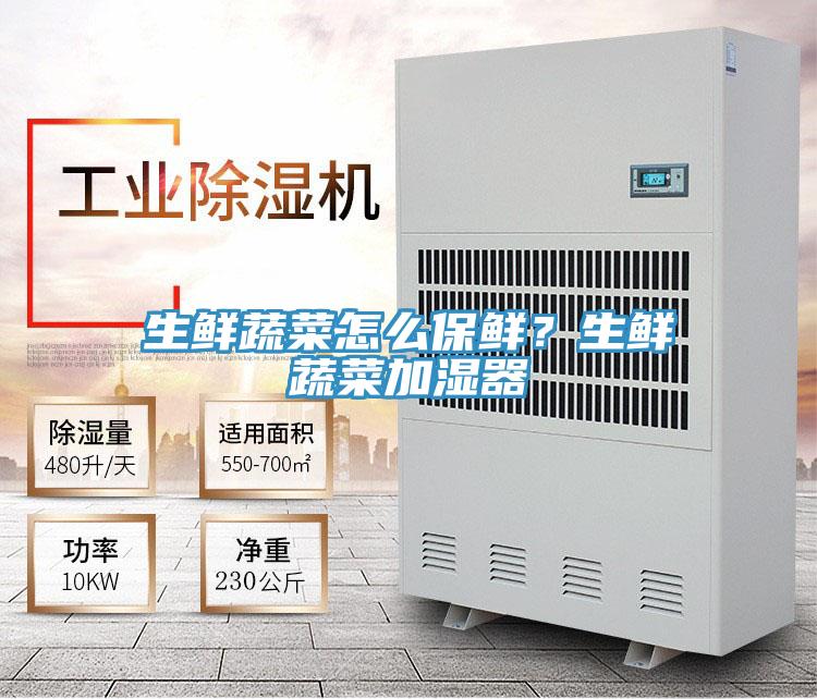 生鮮蔬菜怎麽保鮮？生鮮蔬菜加濕器