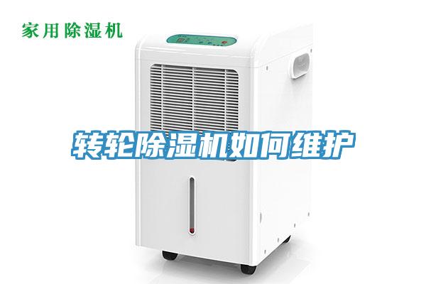 轉輪草莓小视频黄色如何維護