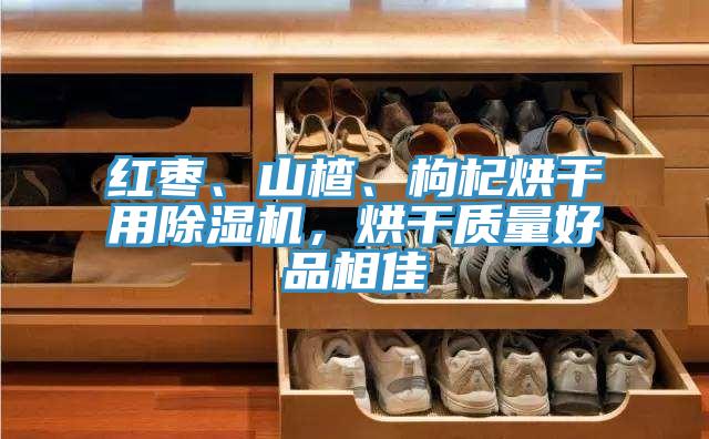 紅棗、山楂、枸杞烘幹用草莓小视频黄色，烘幹質量好品相佳