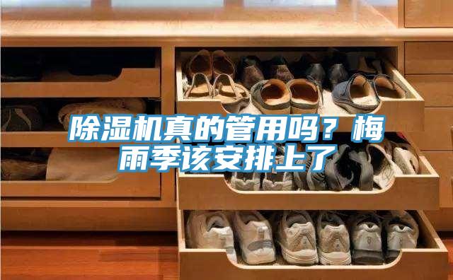 草莓小视频黄色真的管用嗎？梅雨季該安排上了