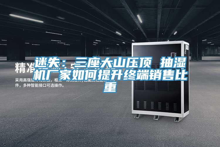 迷失：三座大山壓頂 抽濕機廠家如何提升終端銷售比重