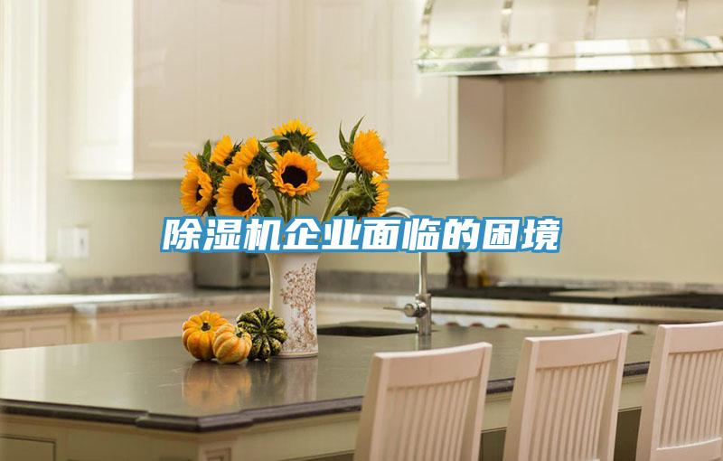 草莓小视频黄色企業麵臨的困境