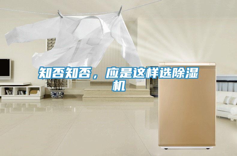 知否知否，應是這樣選草莓小视频黄色