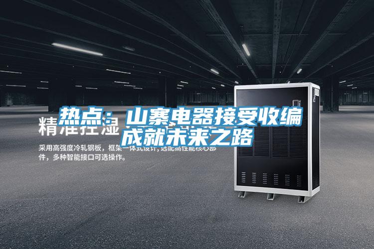 熱點：山寨電器接受收編 成就未來之路