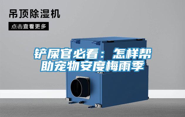 鏟屎官必看：怎樣幫助寵物安度梅雨季