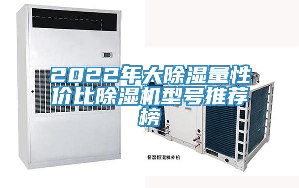 2022年大除濕量性價比草莓小视频黄色型號推薦榜