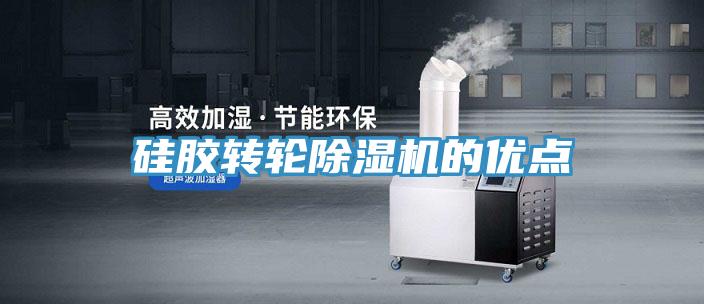 矽膠轉輪草莓小视频黄色的優點
